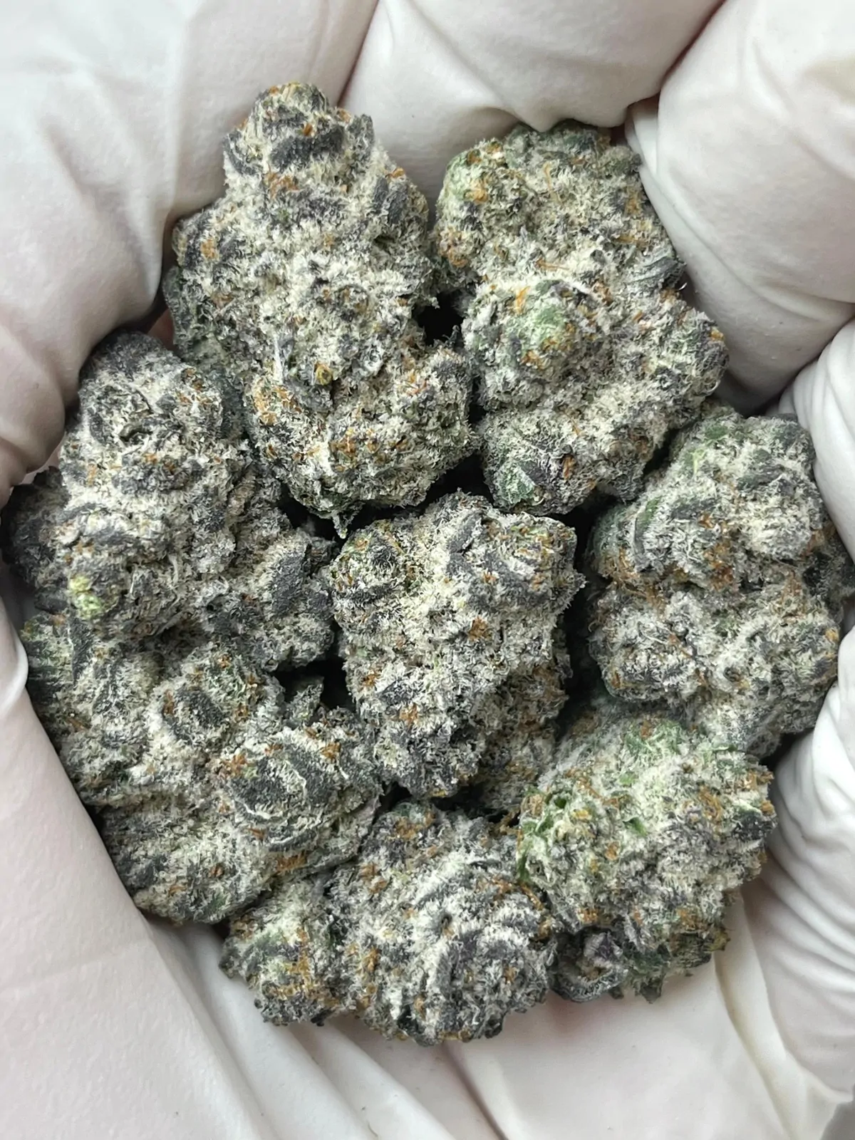 Oreoz Flower